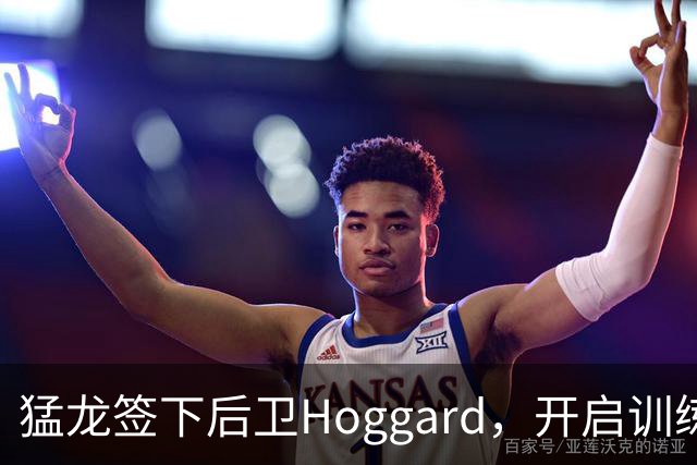猛龙签下后卫Hoggard，开启训练营新机遇
